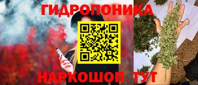 сатива Краснознаменск