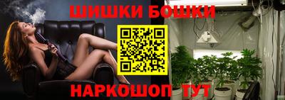 сатива Краснознаменск
