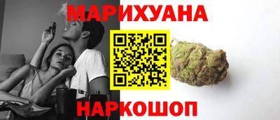 сатива Краснознаменск
