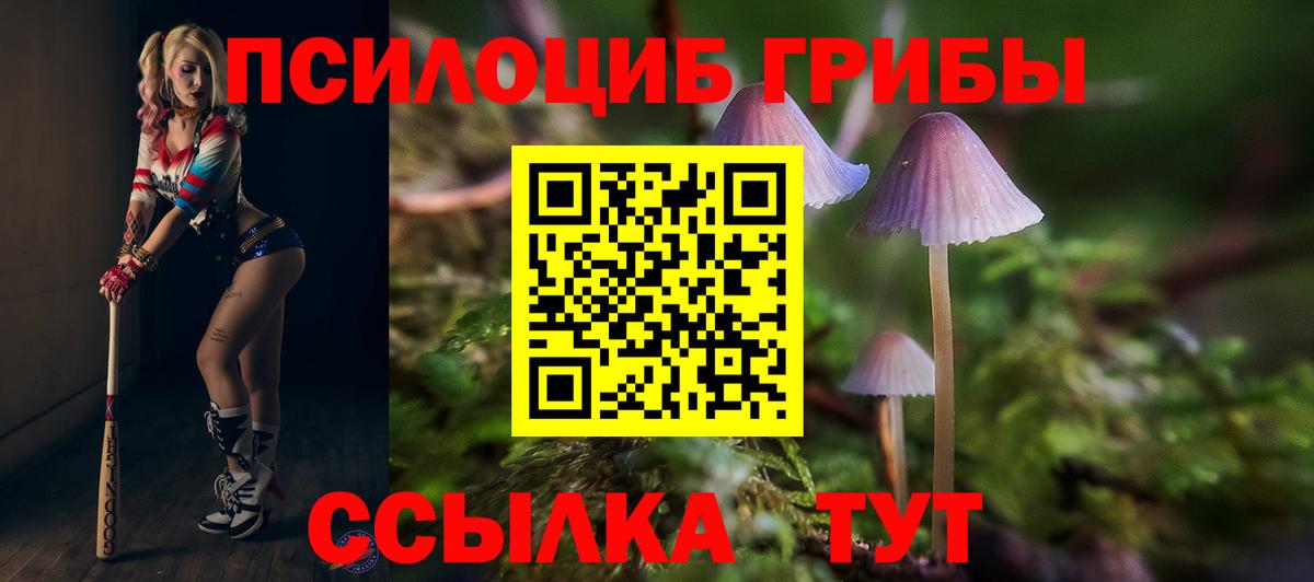 Галлюциногенные грибы мицелий Когалым